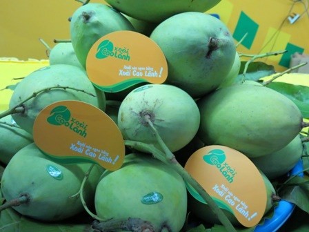 Dong Thap promotes fruit exports - ảnh 3